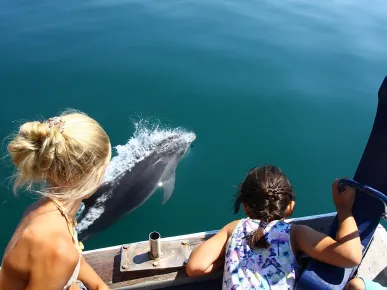 Side - Dolphin Island Boat Tour